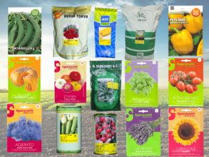 Seeds - بذور in Lebanon